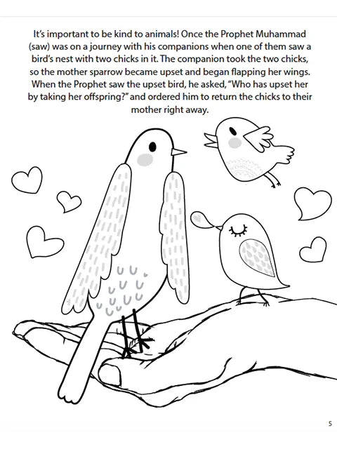 The Adventures of Malik and Ameerah (Activity Book) - Sabiqounbooks