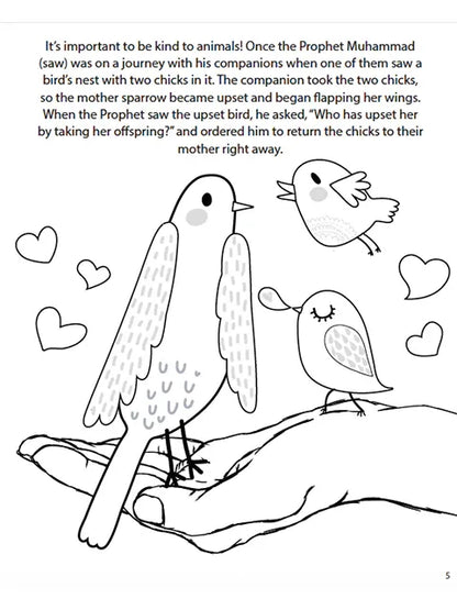 The Adventures of Malik and Ameerah (Activity Book) - Sabiqounbooks