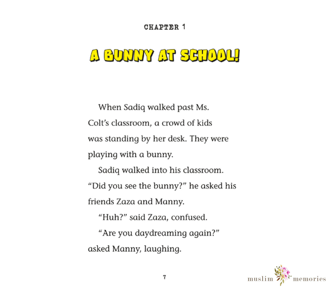 Sadiq and the Pet Problem